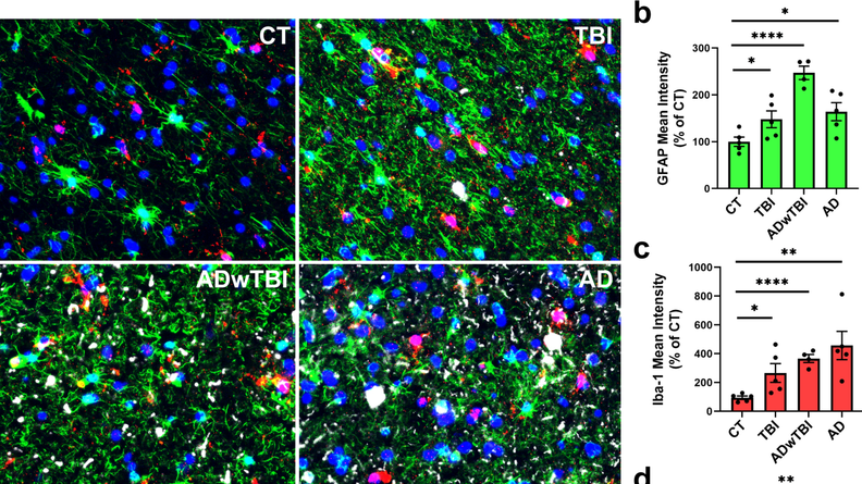 A series of colorful immunofluorescence images showing a variety of biomarkers and their expression