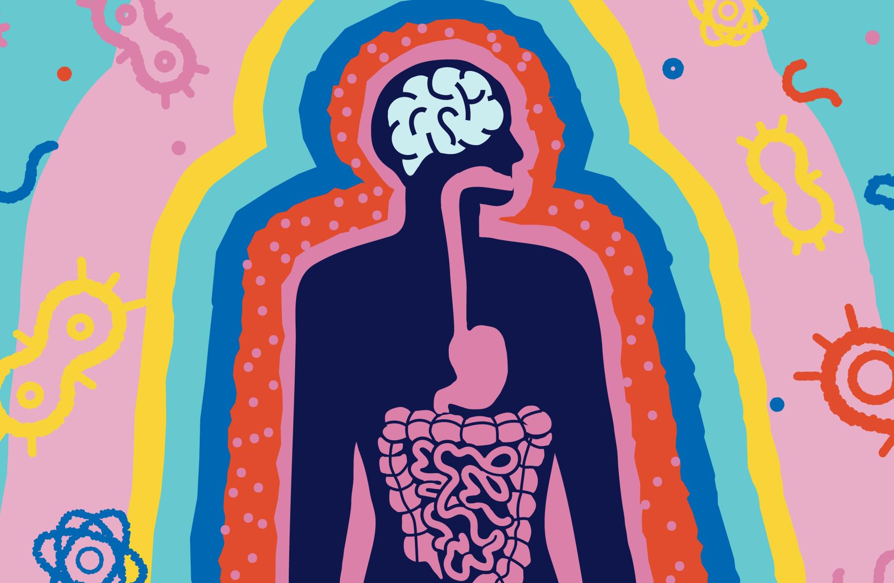 Illustrated artistic image of a human body, brain, and digestive system